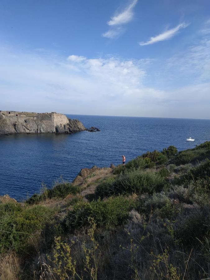 Port Heaven, A Deux Pas Du Port, Grand Balcon Apartment Port Vendres Luaran gambar